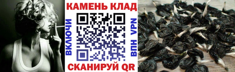ГАШИШ 40% ТГК  купить наркотик  Сысерть 